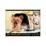 ПазлыKONIGSPUZZLE 1000 дет. Йоркширский терьер КБК1000-6468, (Рыжий кот)