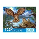 ПазлыTOPpuzzle 500 дет. Ночные совы ХТП500-4218, (Рыжий кот)