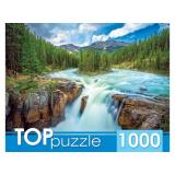 ПазлыTOPpuzzle 1000 дет. Канада. Национальный парк Джаспер ГИТП1000-2152, (Рыжий кот)