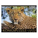 ПазлыKONIGSPUZZLE 1000 дет. Портрет леопарда ГИK1000-0648, (Рыжий кот)
