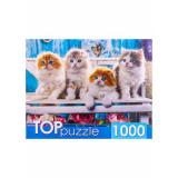 ПазлыTOPpuzzle 1000 дет. Котята скоттиш фолд ШТТП1000-4154, (Рыжий кот)
