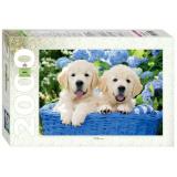 Пазлы 2000 дет. Щенята в корзине (Animal Collection) 84040, (Степ Пазл)