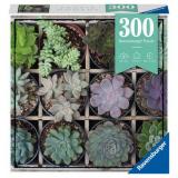 Пазлы 300 дет. Суккуленты 12967, (Ravensburger)