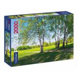 Пазлы 2000 дет. Русский лес (Premium) 2000ПЗ1_14504, (Хатбер-М)