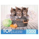 ПазлыTOPpuzzle 1000 дет. Три голубоглазых котенка  ШТТП1000-7182, (Рыжий кот)