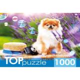 ПазлыTOPpuzzle 1000 дет. Шпиц в саду ШТТП1000-9859, (Рыжий кот)