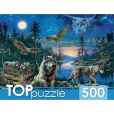 ПазлыTOPpuzzle 500 дет. Ночные совы и волки Ф500-3866, (Рыжий кот)