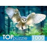 ПазлыTOPpuzzle 1000 дет. Полет совы ШТ1000-3870, (Рыжий кот)