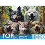 ПазлыTOPpuzzle 1000 дет. Селфи волков Ф1000-7730, (Рыжий кот)