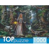 ПазлыTOPpuzzle 1000 дет. Девушка с волками и совами Ф1000-5889, (Рыжий кот)