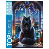 ПазлыTOPpuzzle 1000 дет. Магический кот Ф1000-2743, (Рыжий кот)
