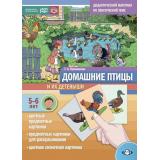 Куликовская Т.А. Домашние птицы и их детеныши. Дидактический материал по лексической теме (от 5 до 6 лет) ФГОС ФОП, (Детство-Пресс, 2024), Обл, c.16