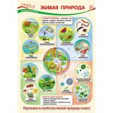 Плакат Окружающий мир в начальной школе. Живая природа (А3, текст) (ПО-13538), (Сфера)