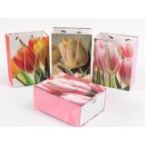 Пакет Бумажный 26*32 Весеннее утро (в ассорт., блестки) YC710M, (Yiwu Ouwei Paper packaging Co.,Ltd.)