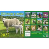 КалендарьНастенный 2027 Год козы и овцы (Символ года) (220*240, на скобе) 45706, (День за днем)
