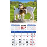 КалендарьНаМагните 2027 Год козы. Забавные малыши (Символ года) (94*167, отрывной) 20724, (День за днем)