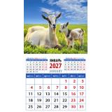 КалендарьНаМагните 2027 Год козы. Заботливая мама с малышом (Символ года) (94*167, отрывной) 20728, (День за днем)