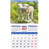 КалендарьНаМагните 2027 Год овцы. Симпатичные малыши (Символ года) (94*167, отрывной) 20729, (День за днем)