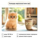КалендарьКвартальный 2027 Кот (190*460, трехблочный) 9941, (Квадра)