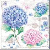 Салфетки бумажные Bouquet Домашняя коллекция. Открытка с гортензиями (33*33см, 3-слоя, 20шт.) 37927, (ООО 