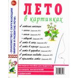 ЗнакомствоСОкрМиромИРазвРечи Лето в картинках. Наглядное пособие для педагогов, логопедов, воспитателей и родителей, (Гном и Д, 2024), Обл, c.32