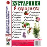 ЗнакомствоСОкрМиромИРазвРечи Кустарники в картинках. Наглядное пособие для педагогов, логопедов, воспитателей и родителей (А4), (Гном и Д, 2024), Обл, c.32