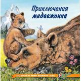 ПознаемМирВокругНас Приключения медвежонка (Арт.28244/35983), (Фламинго, 2024), Обл, c.16
