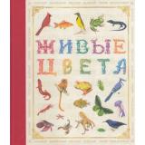 Живые цвета. Развитие памяти, внимания, мышления (для детей до 3-х лет), (Росмэн/Росмэн-Пресс, 2016), 7Бц, c.32