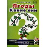 ЗнакомствоСОкрМиромИРазвРечи Шорыгина Т.А. Ягоды. Какие они? (А5), (Гном и Д, 2022), Обл, c.64