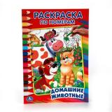 РаскраскаПоНомерам Домашние животные (Дружинина М.) (А5), (Умка, 2023), Обл, c.16