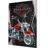 2701609 Motor cycles (мини, подвеска, двойная), (МирОткр)
