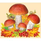 2960100 ЭлементДляОформления 