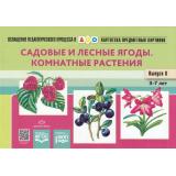 ОснащениеПедагогПроцессаВДОО Нищева Н.В. Картотека предметных картинок. Вып.6 Садовые и лесные ягоды. Комнатные растения. Наглядный дидактический материал (от 3 до 7 лет) ФГОС ФОП, (Детство-Пресс, 2023), Обл, c.64