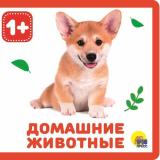 КнижкиНаПене Домашние животные (от 1 года), (Проф-Пресс, 2024), ПВХ, c.10