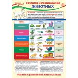 Плакат Окружающий мир в начальной школе. Развитие и размножение животных (А3) (ПО-13971), (Сфера)