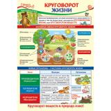 Плакат Окружающий мир в начальной школе. Круговорот жизни (А3) (ПО-13973), (Сфера)