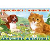 ЗнакомимсяСЖивотными Домашние животные (Арт.27667), (Фламинго, 2025), Обл, c.16