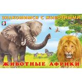 ЗнакомимсяСЖивотными Животные Африки (Арт.27698), (Фламинго, 2024), Обл, c.16