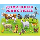 УчимМалыша Домашние животные (Арт.29470), (Фламинго, 2022), Обл, c.12