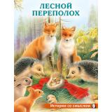 ИсторииСоСмыслом Лесной переполох (Арт.35631), (Фламинго, 2024), Обл, c.16