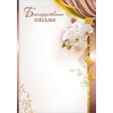 7200893 Благодарственное письмо (А4, вертикальный) (для принтера), (Праздник)