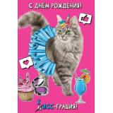 1804264 С Днем рождения! КИСС-грация! (открытка, текст), (Праздник)