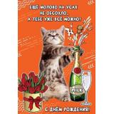 1804265 С Днем рождения! Еще молоко на усах не обсохло... (открытка, текст), (Праздник)