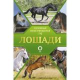 ПопулярныйИллюстрированныйГид Лошади (Спектор А.А.), (АСТ,ОГИЗ, 2025), 7Б, c.192