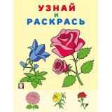 УзнайИРаскрась Цветы (Арт. 31978), (Фламинго, 2024), Обл, c.14
