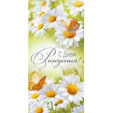 4199800 С Днем рождения! (конверт для денег, текст), (ИмперияПоздр)