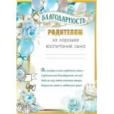 50000537 Благодарность родителя за хорошее воспитание сына (А4, вертикальный), (Праздник)